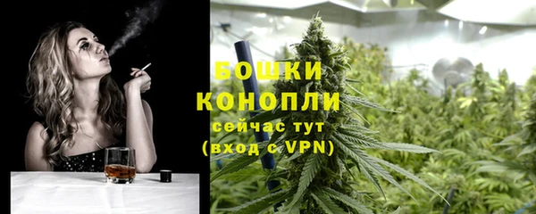 ПСИЛОЦИБИНОВЫЕ ГРИБЫ Дмитровск