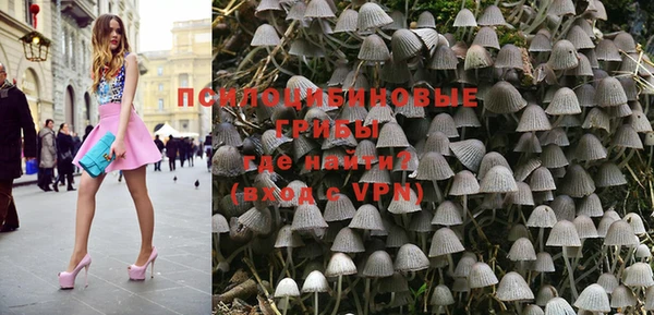 ПСИЛОЦИБИНОВЫЕ ГРИБЫ Дмитровск