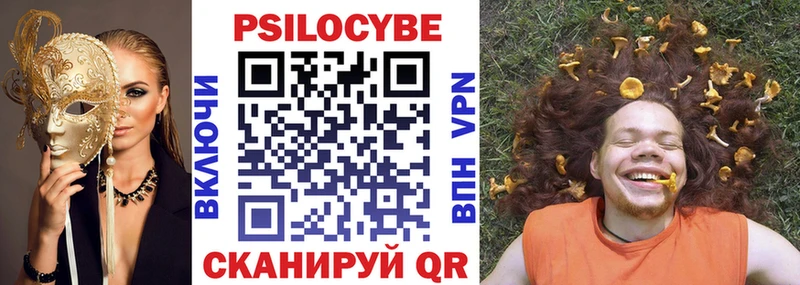 Псилоцибиновые грибы Psilocybe как найти наркотики Похвистнево