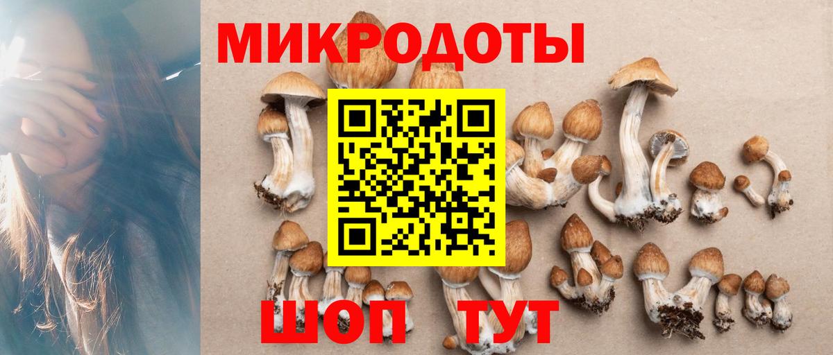 Псилоцибиновые грибы мицелий Похвистнево